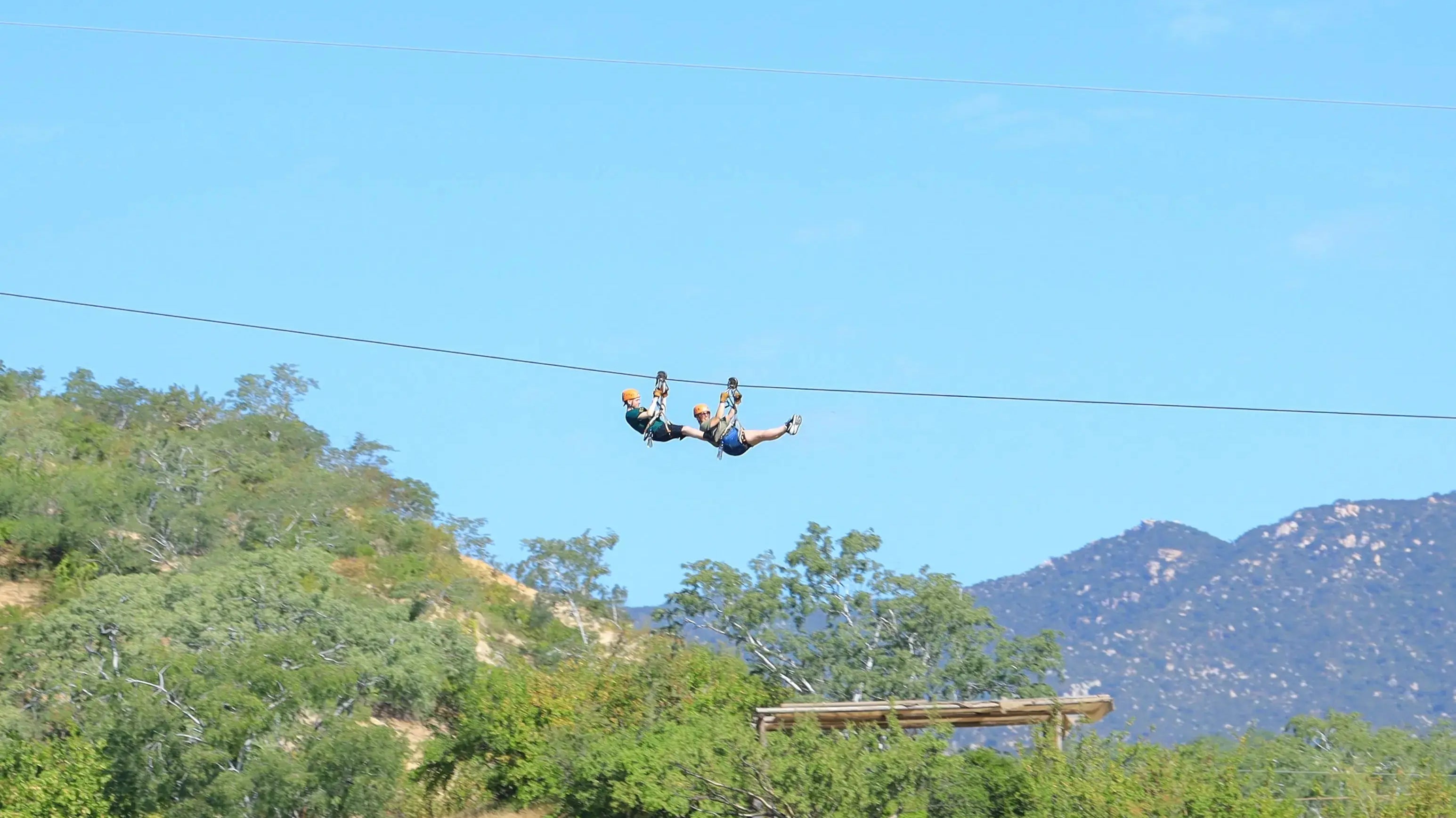 Cabo Zip Line Adventures: Why Wild Canyon Has Baja's Best (2026 Guide)