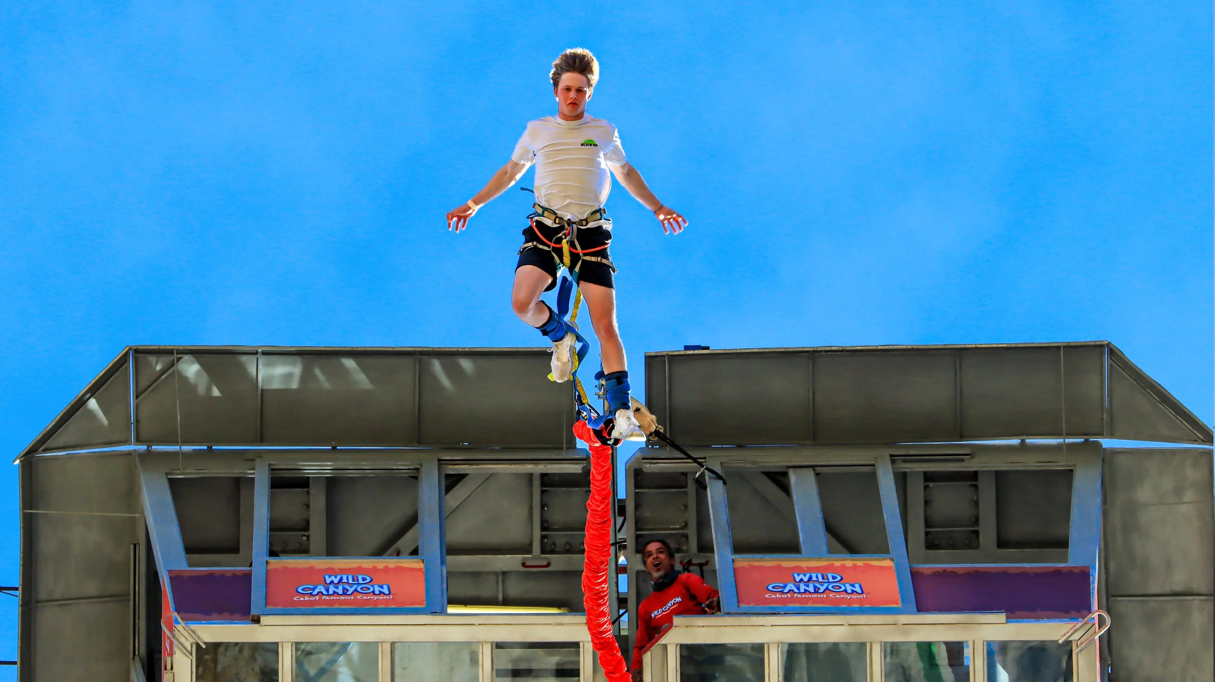 Wild Canyon Bungee Jumping Guide: The Ultimate Cabo San Lucas Adventure 2026 Wild Canyon Adventures