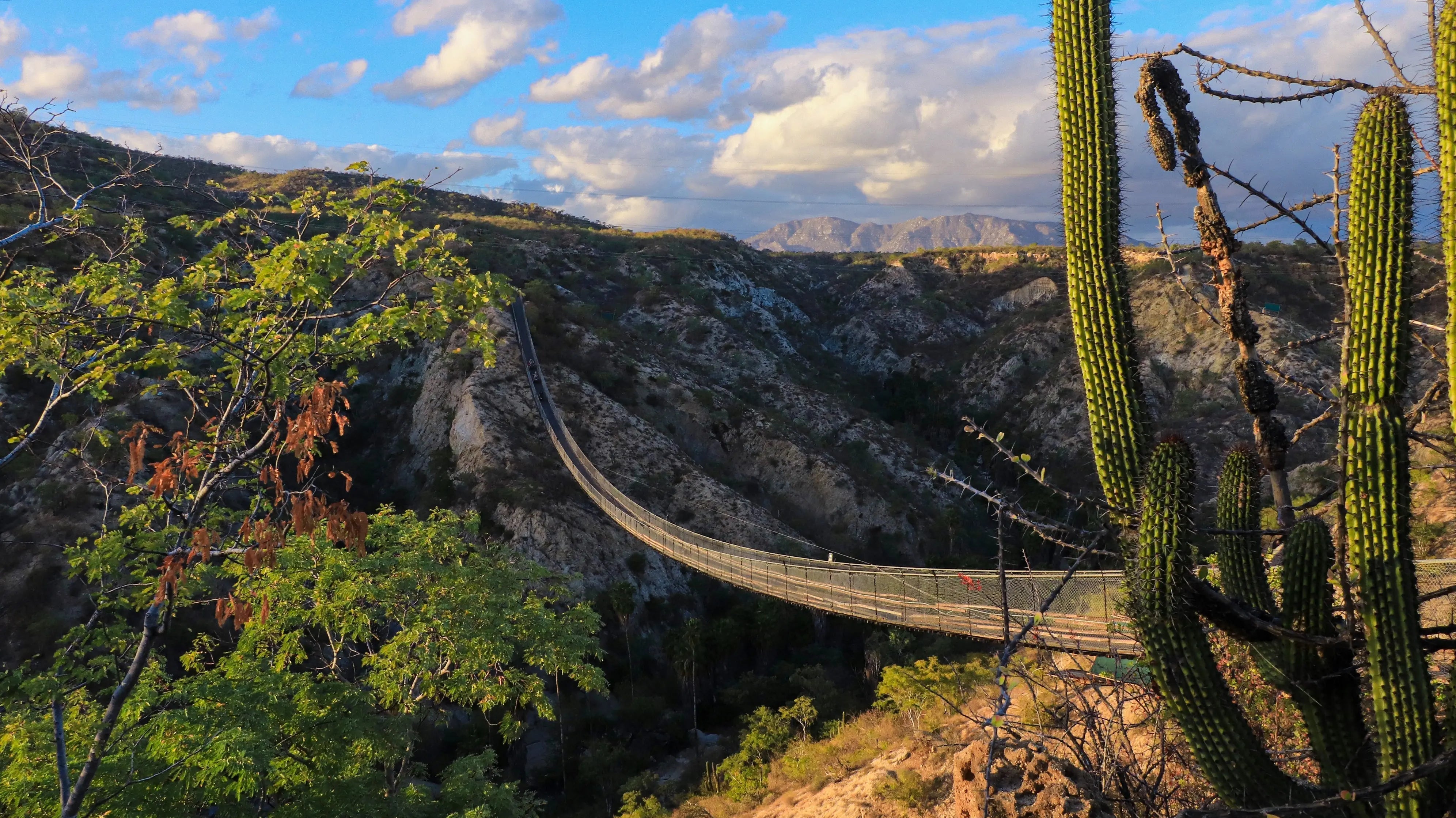 A suspension bridge spanning a full canyon gap, engineered for pedestrian, ATV, and UTV crossings.