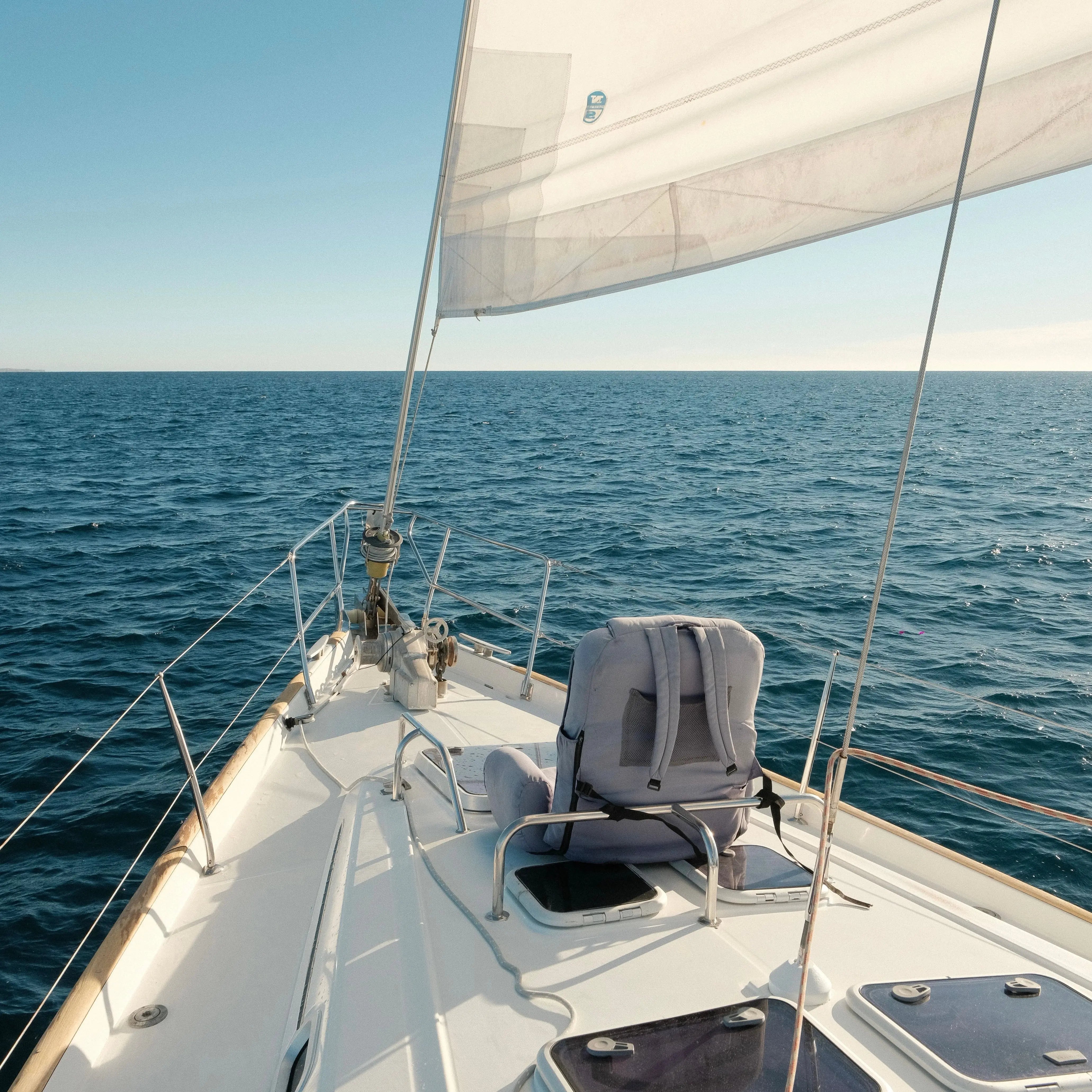 Shared Whale Watching Sailboat Tour – SJD Pursuit of Cortez