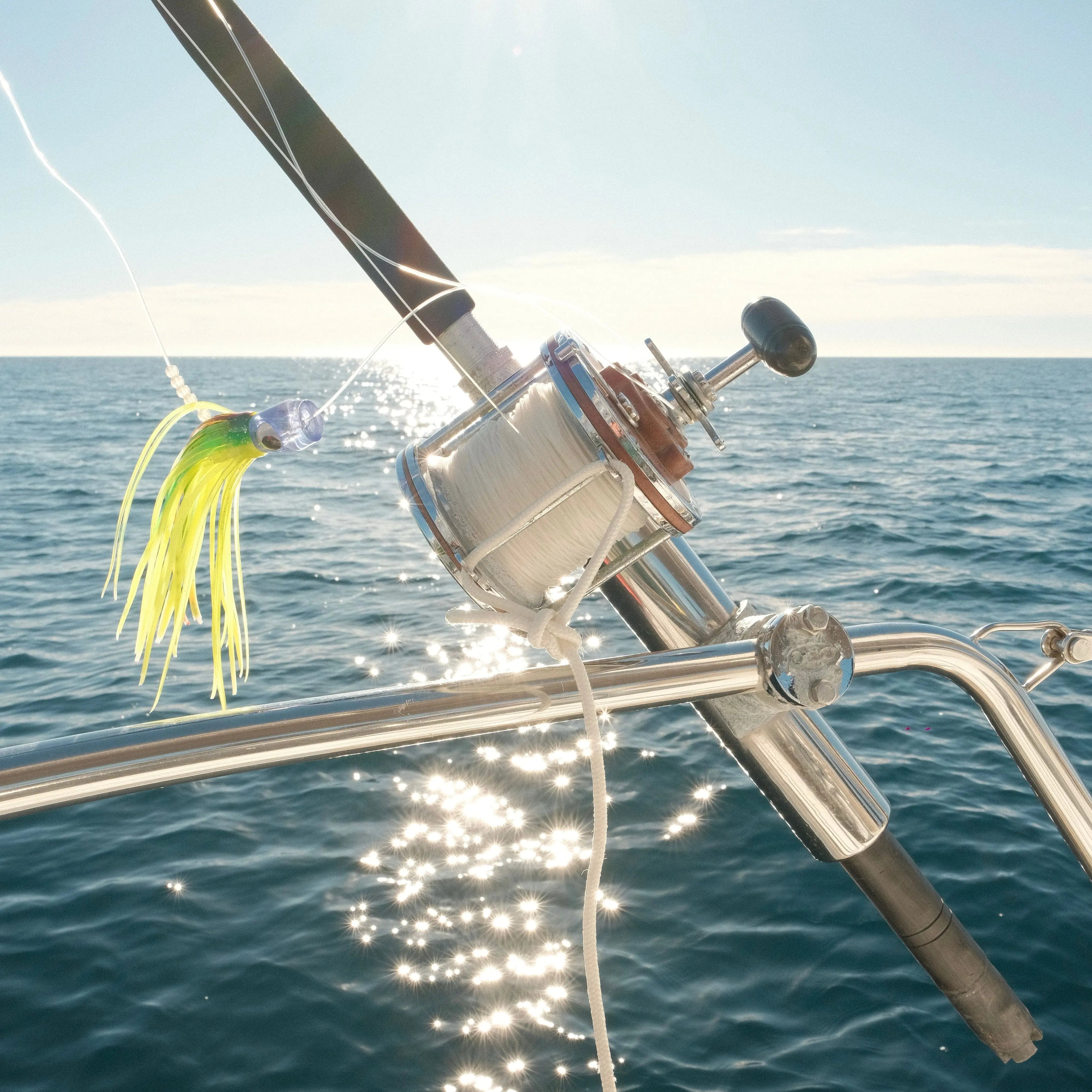 Morning Sailing & Whale Watching - Private Sailboat in San José Del Cabo Pursuit of Cortez