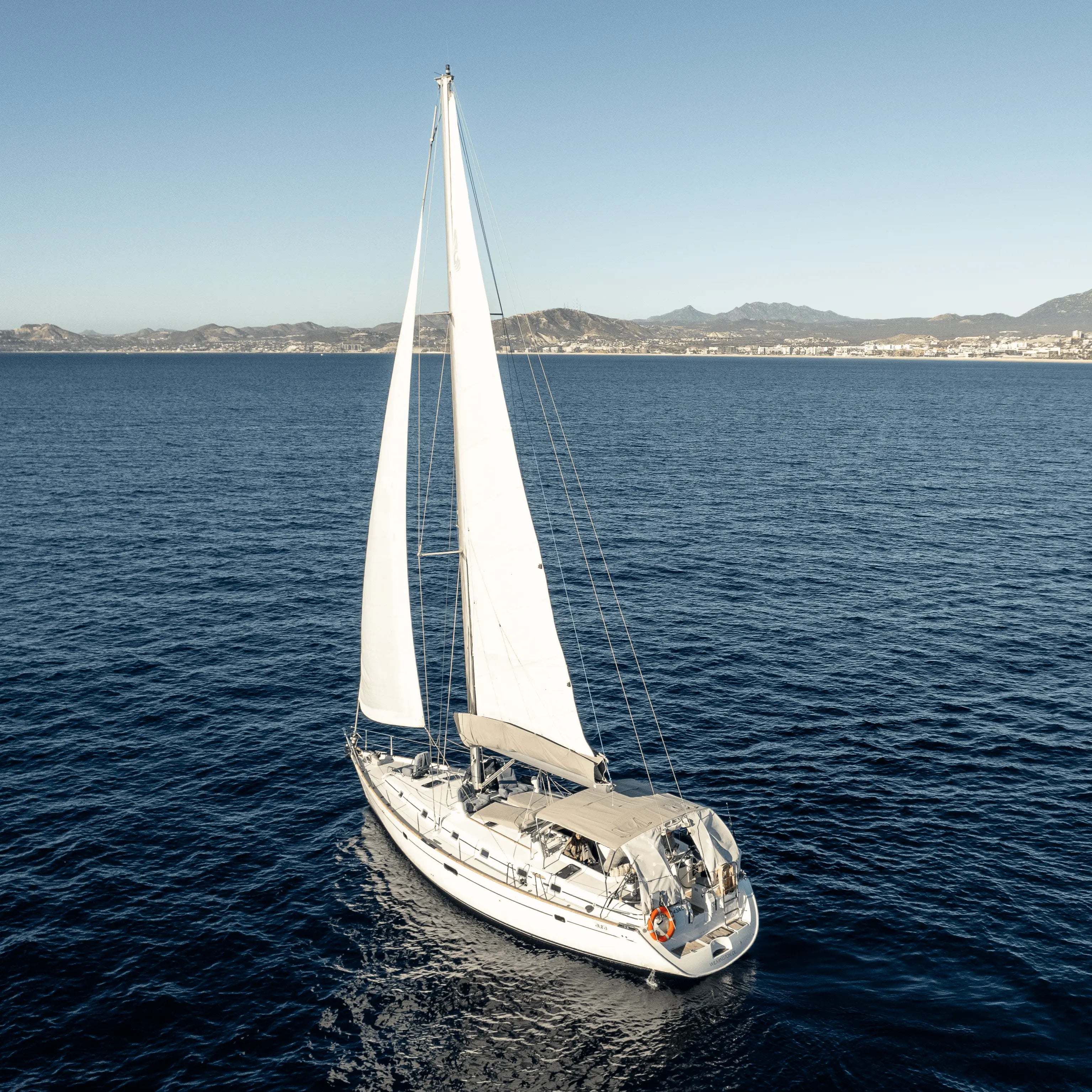 Shared Morning Whale Watching Tour – Sailboat SJD Pursuit of Cortez