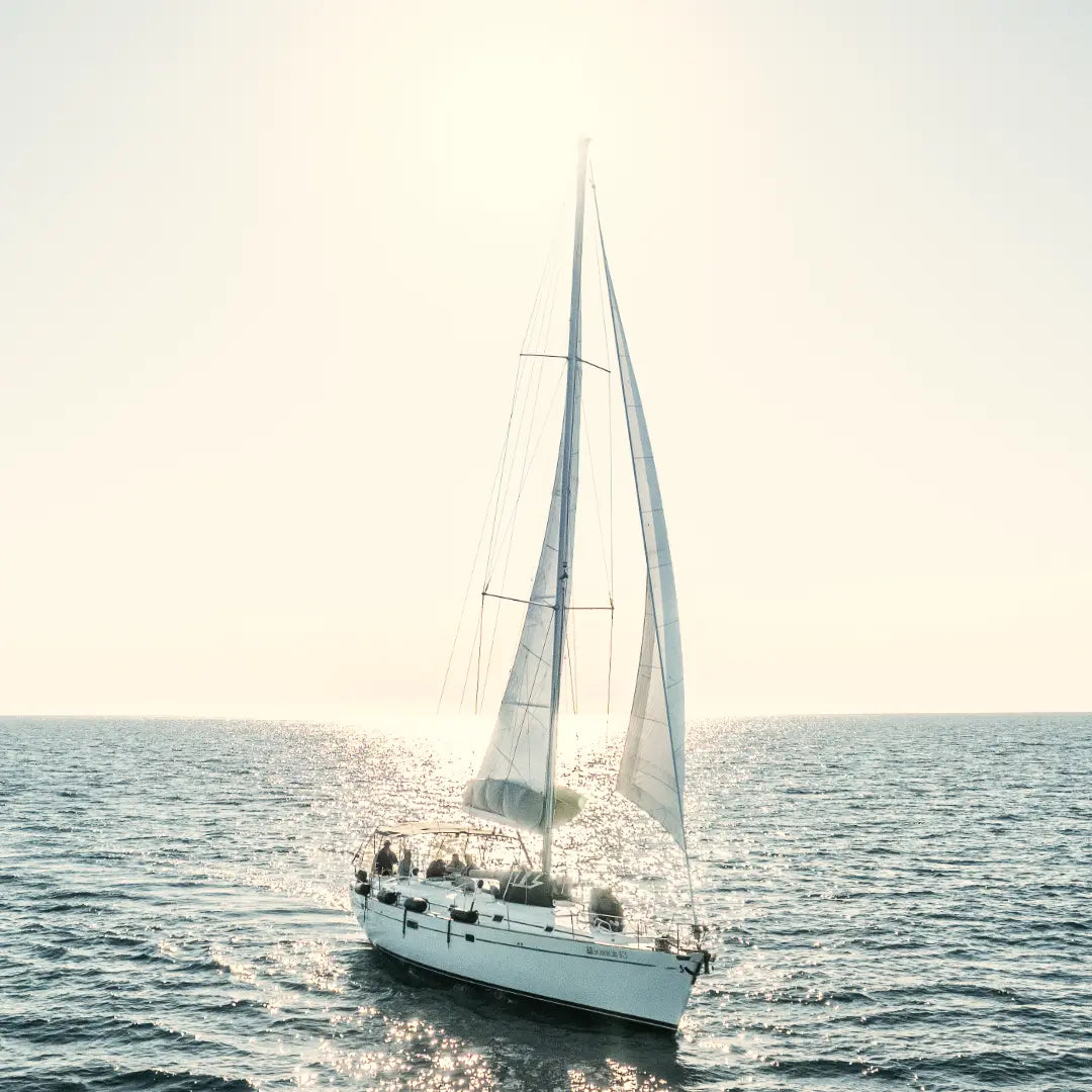 Sunset Whale Watching - Private Sailboat in San José Del Cabo Pursuit of Cortez