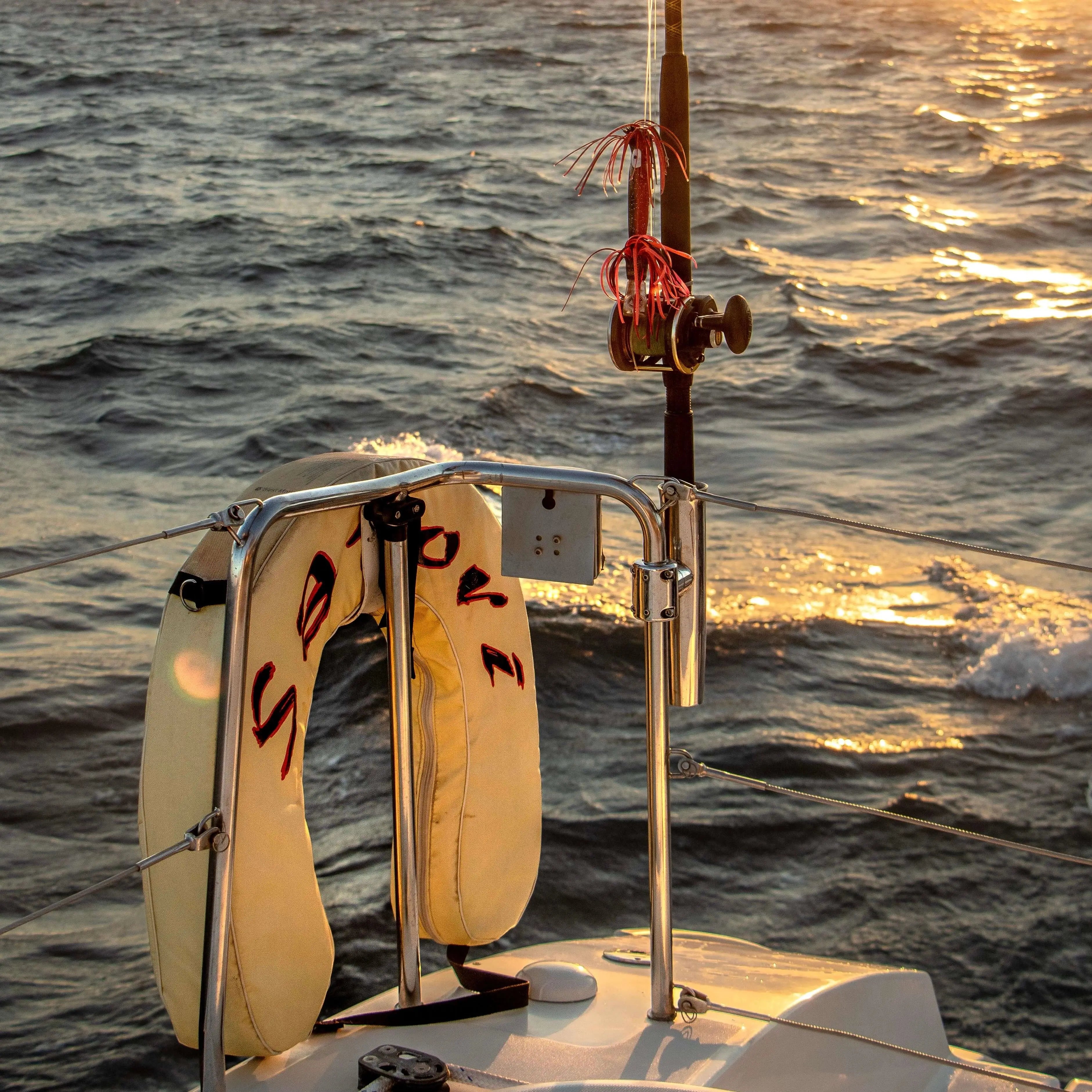 Sunset Whale Watching Experience - Private Catamaran in Cabo San Lucas Pursuit of Cortez