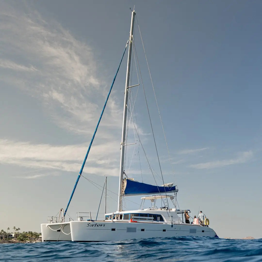 Shared Whale Watching Catamaran Tour – CSL Pursuit of Cortez