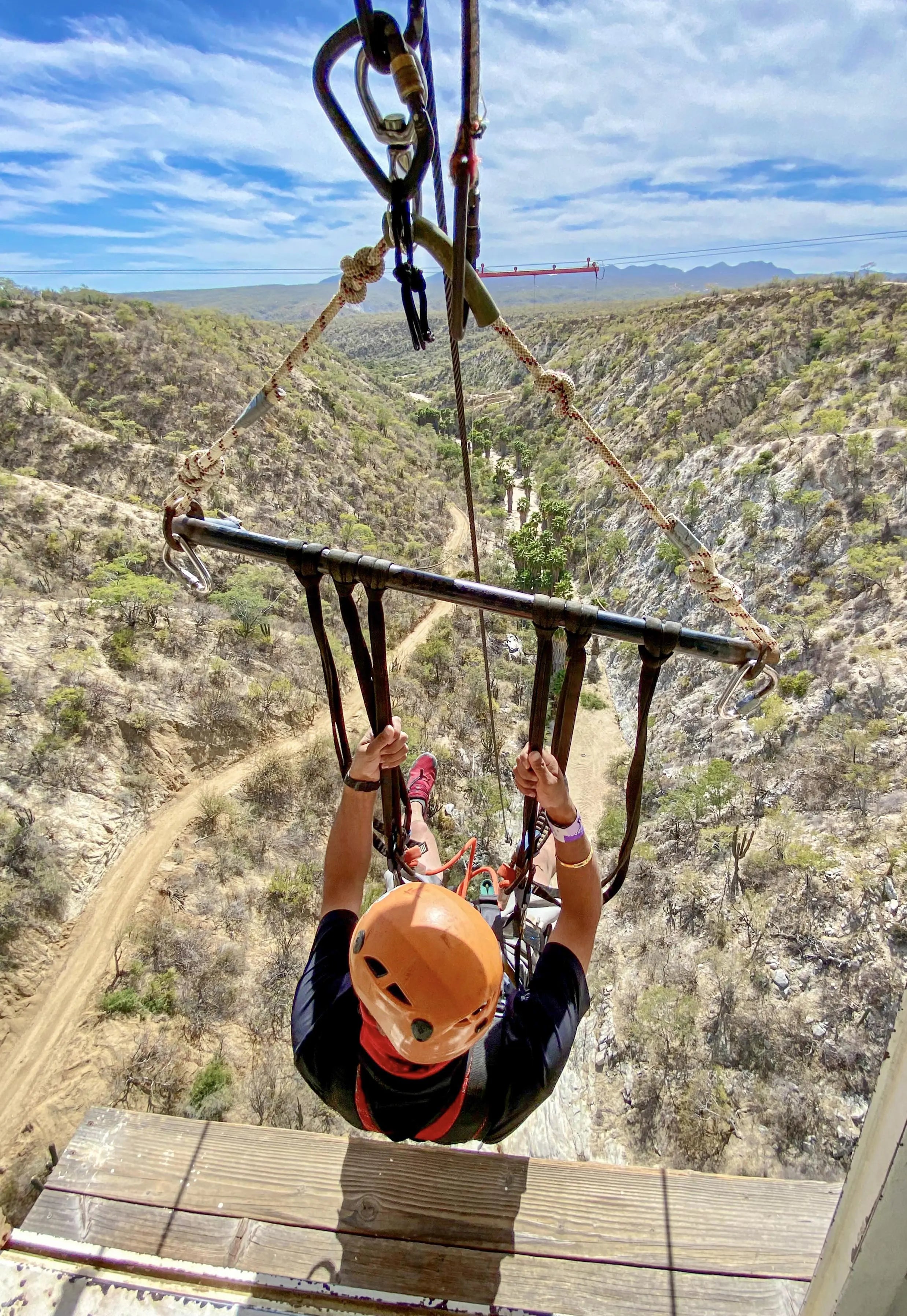Sea and Sand Experience – Whale Watching + Desert Adventure in Los Cabos Wild Canyon Adventures