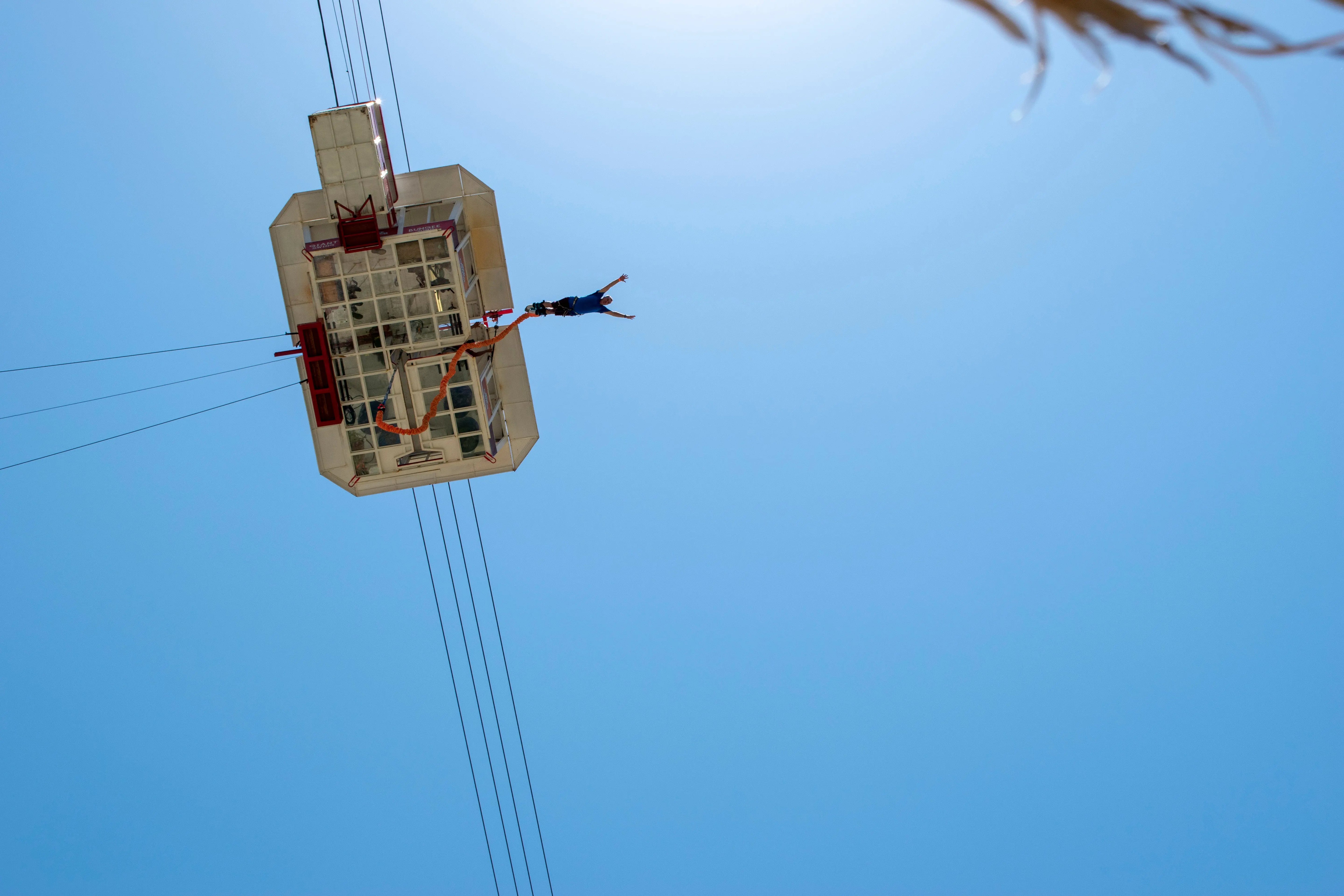 Sea and Sand Experience – Whale Watching + Desert Adventure in Los Cabos Wild Canyon Adventures