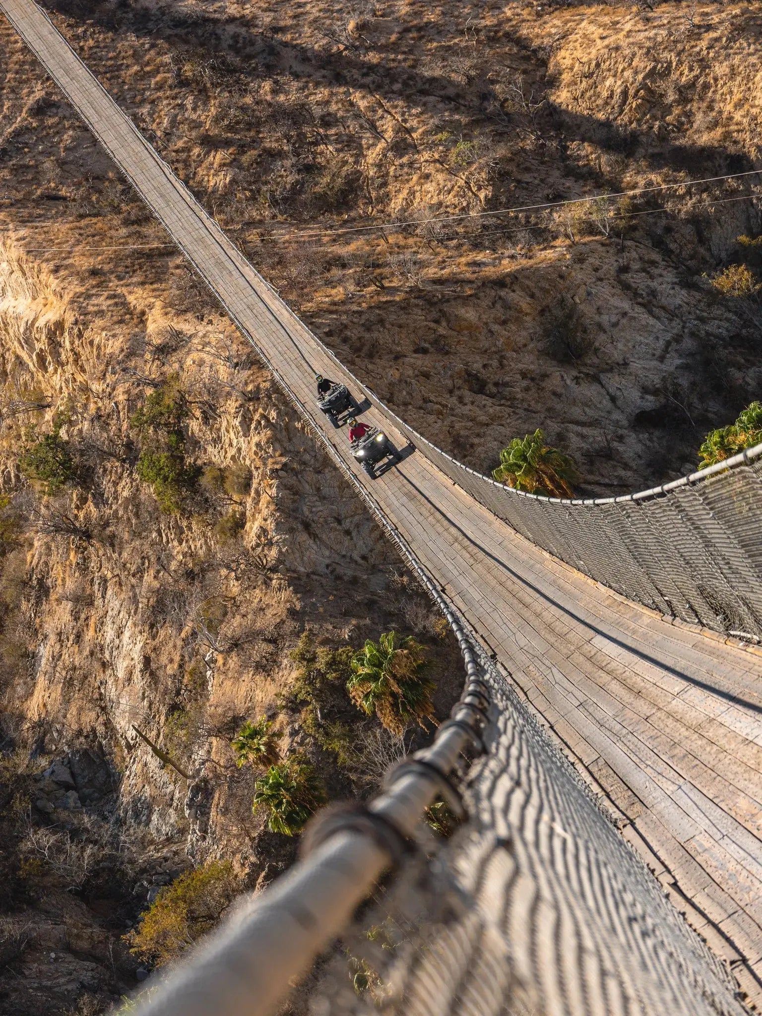 Aerial view of ATVs crossing the Wild Canyon suspension bridge at golden hour in Los Cabos