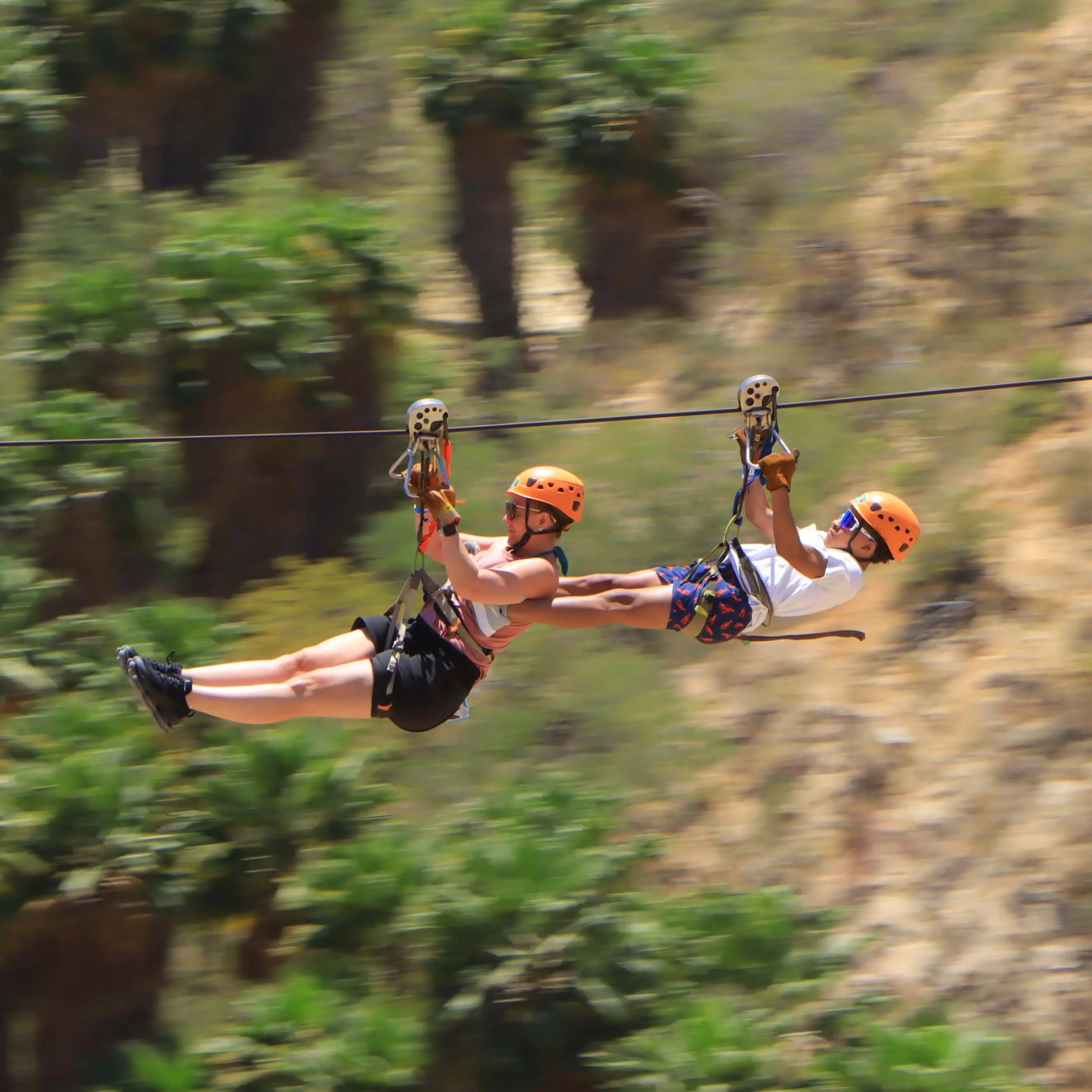 Couple on ziplines - Dual Experience