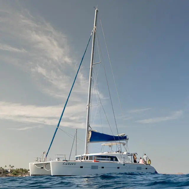 Sunset Whale Watching Experience - Private Catamaran in Cabo San Lucas Pursuit of Cortez