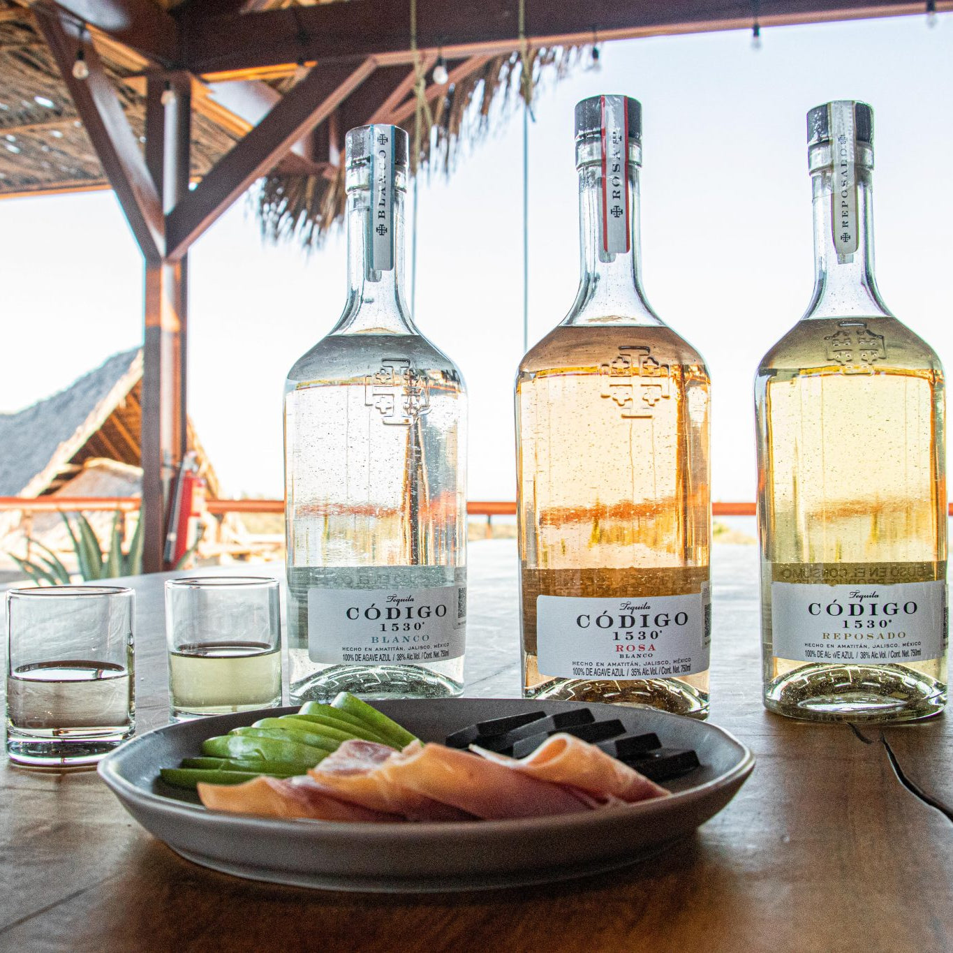 Tequila Tasting