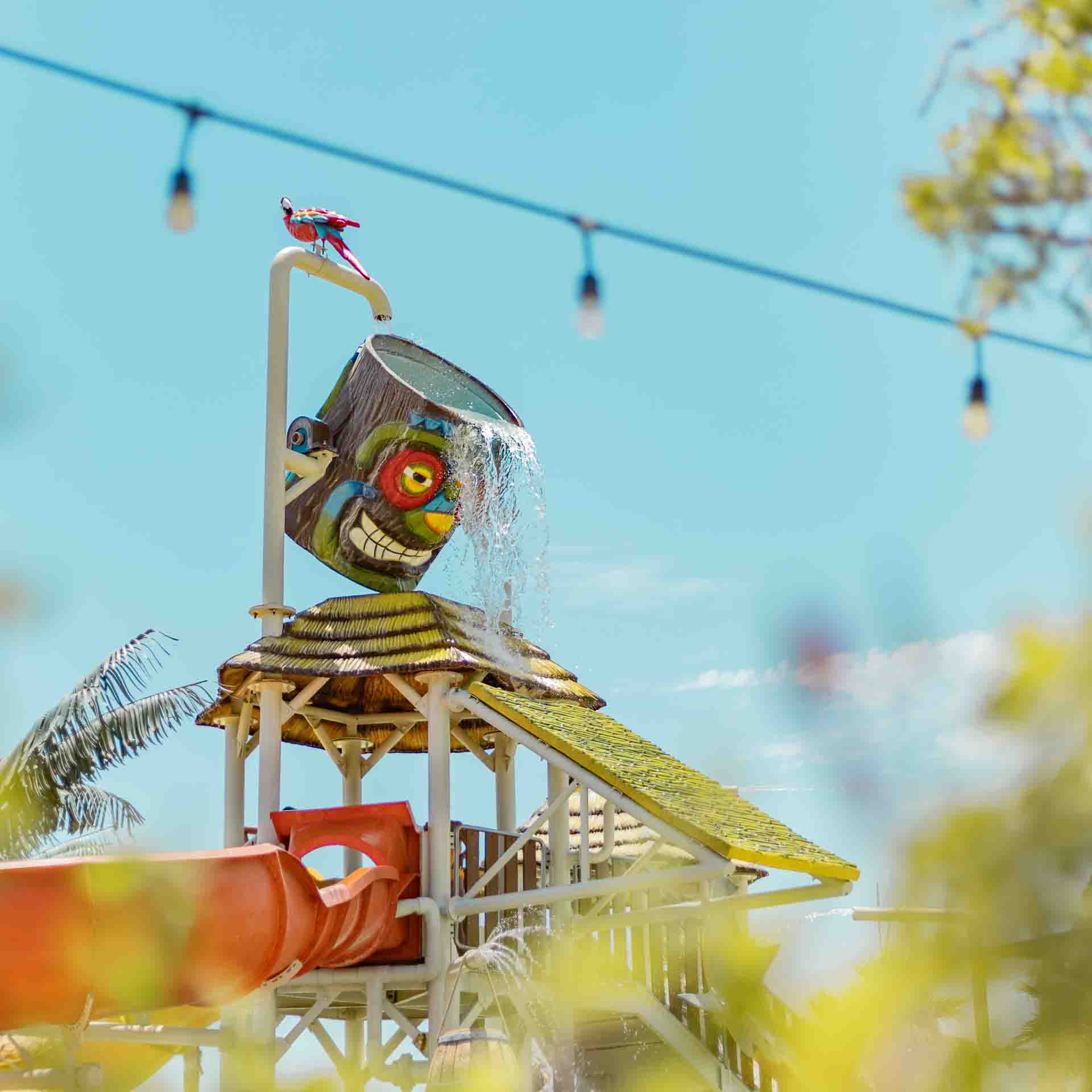 Wagoona Access Wild Canyon