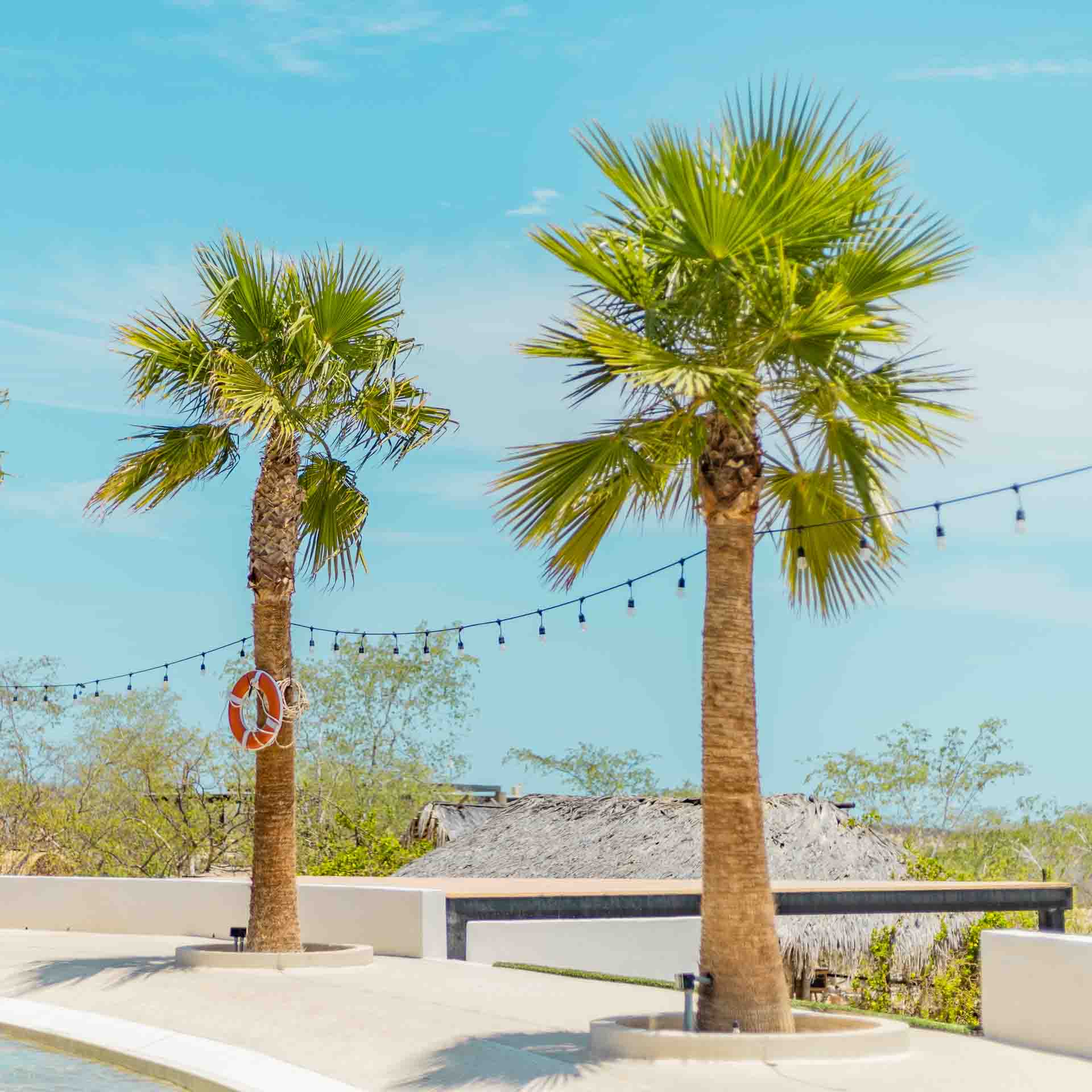 Wagoona Access Wild Canyon