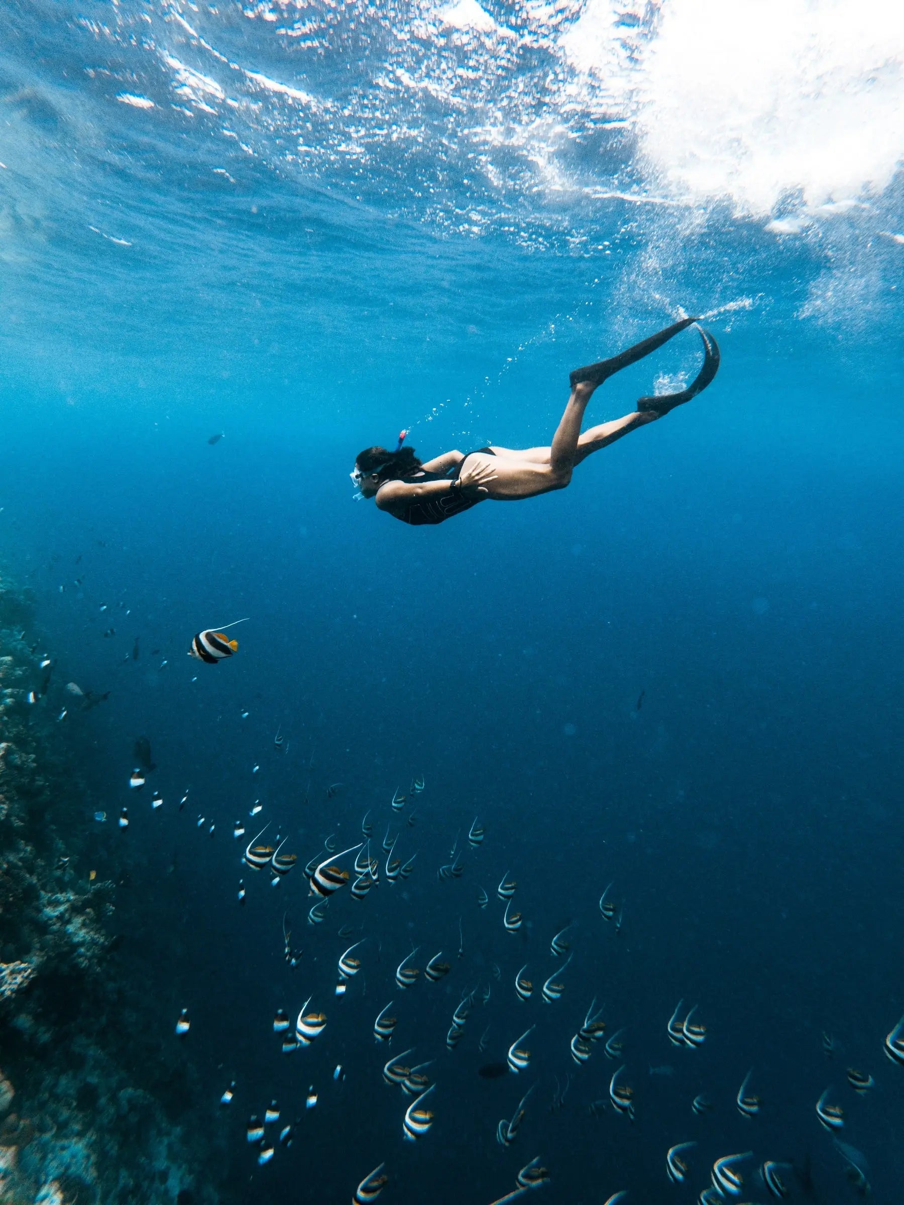 Freediver swimming with tropical fish over the reef while snorkeling near San José del Cabo