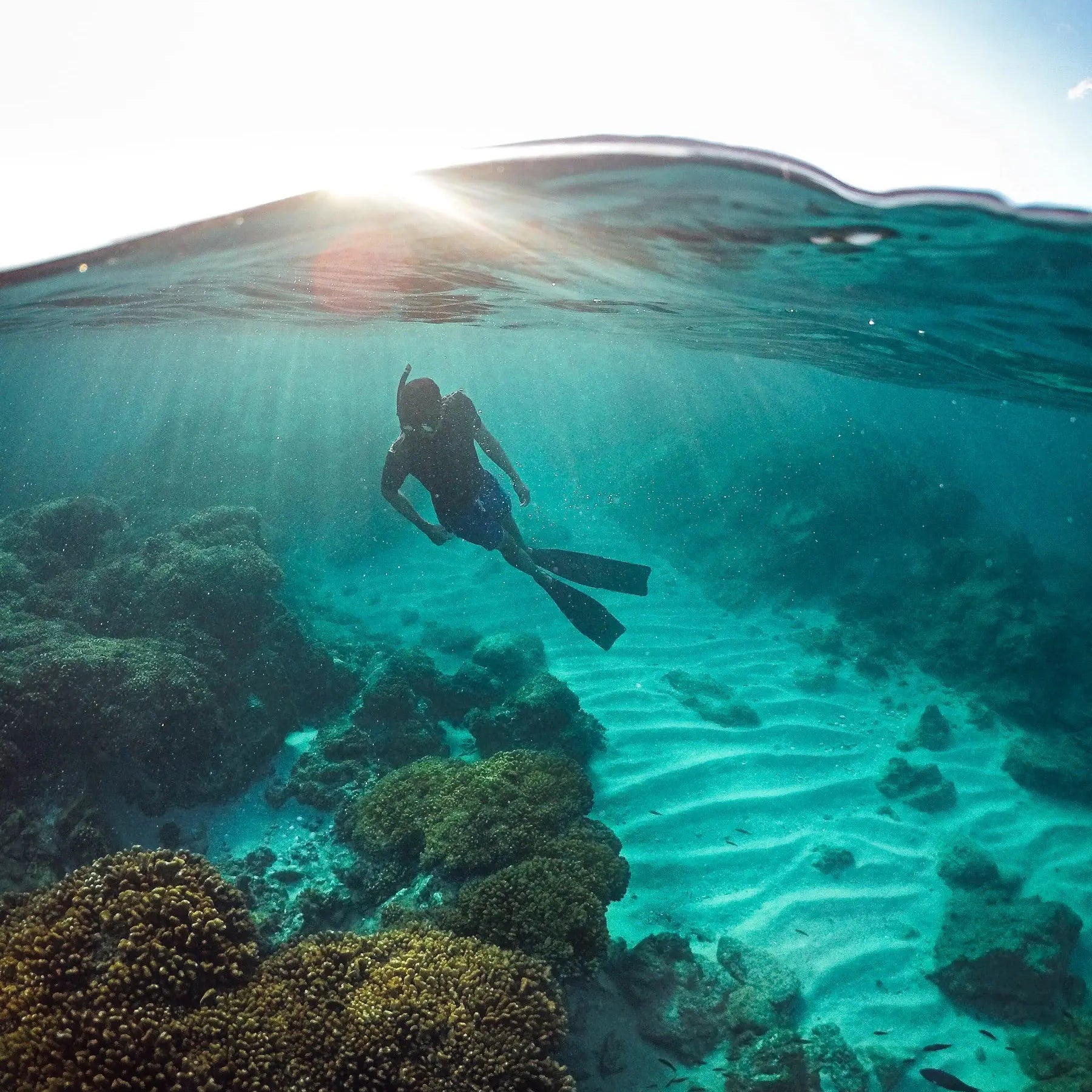 Snorkeler over a coral reef in turquoise water on a Cabo Reefs expedition from San José del Cabo