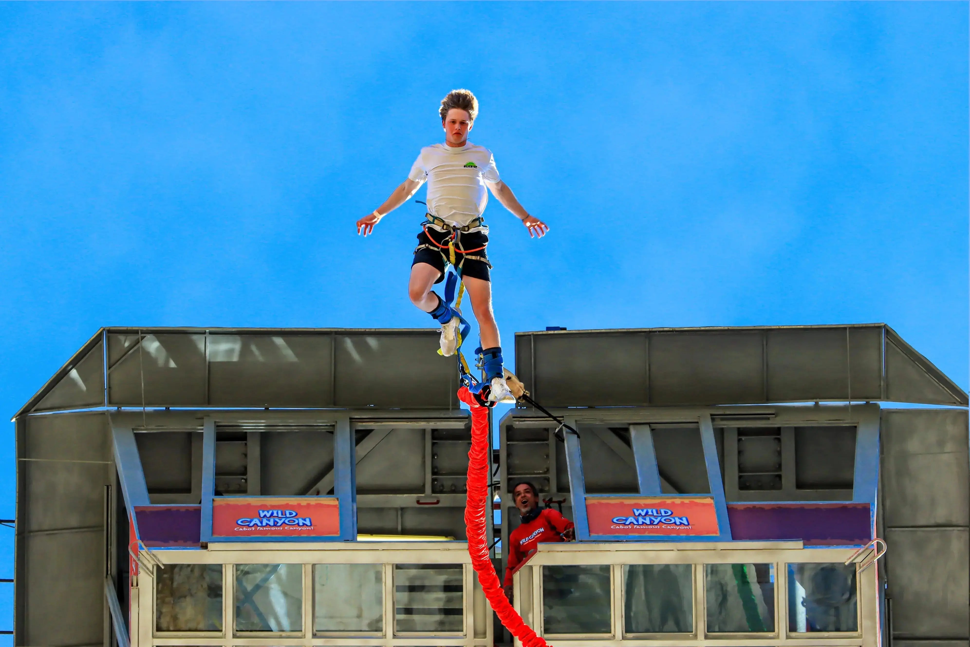 Wild Canyon Bungee Jumping Guide: The Ultimate Cabo San Lucas Adventure 2026 Wild Canyon Adventures