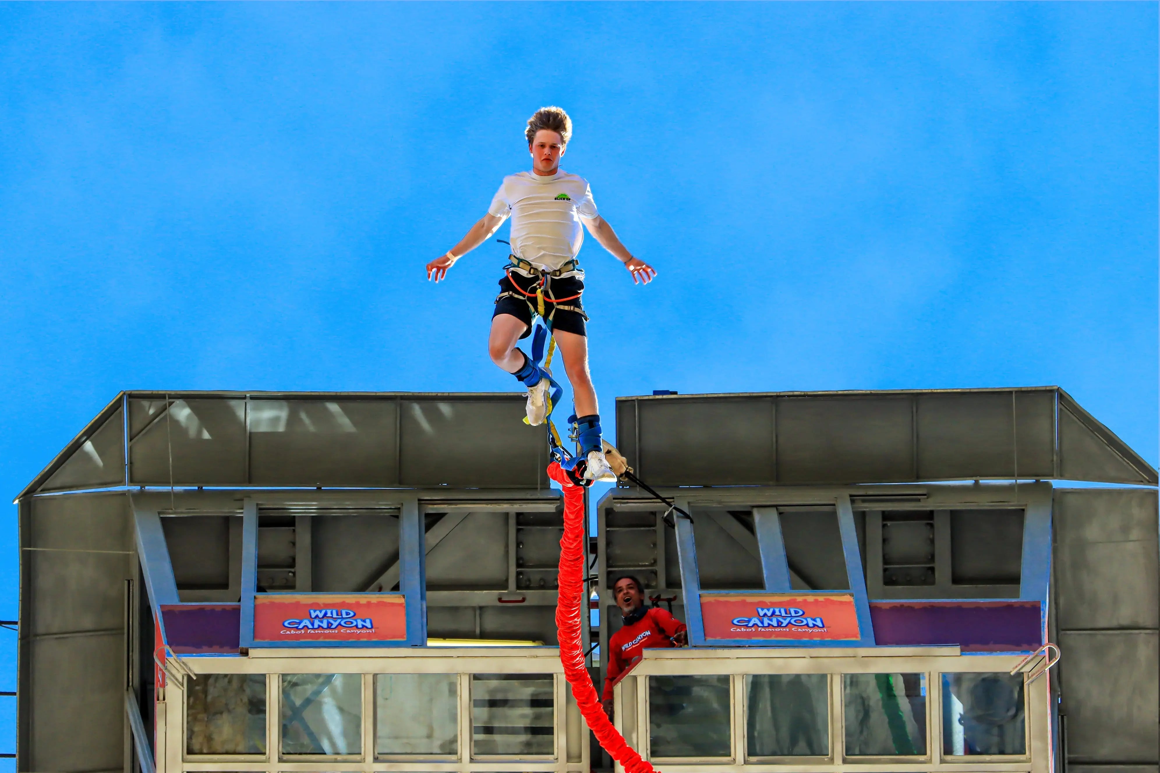 Wild Canyon Bungee Jumping Guide: The Ultimate Cabo San Lucas Adventure 2026 Wild Canyon Adventures