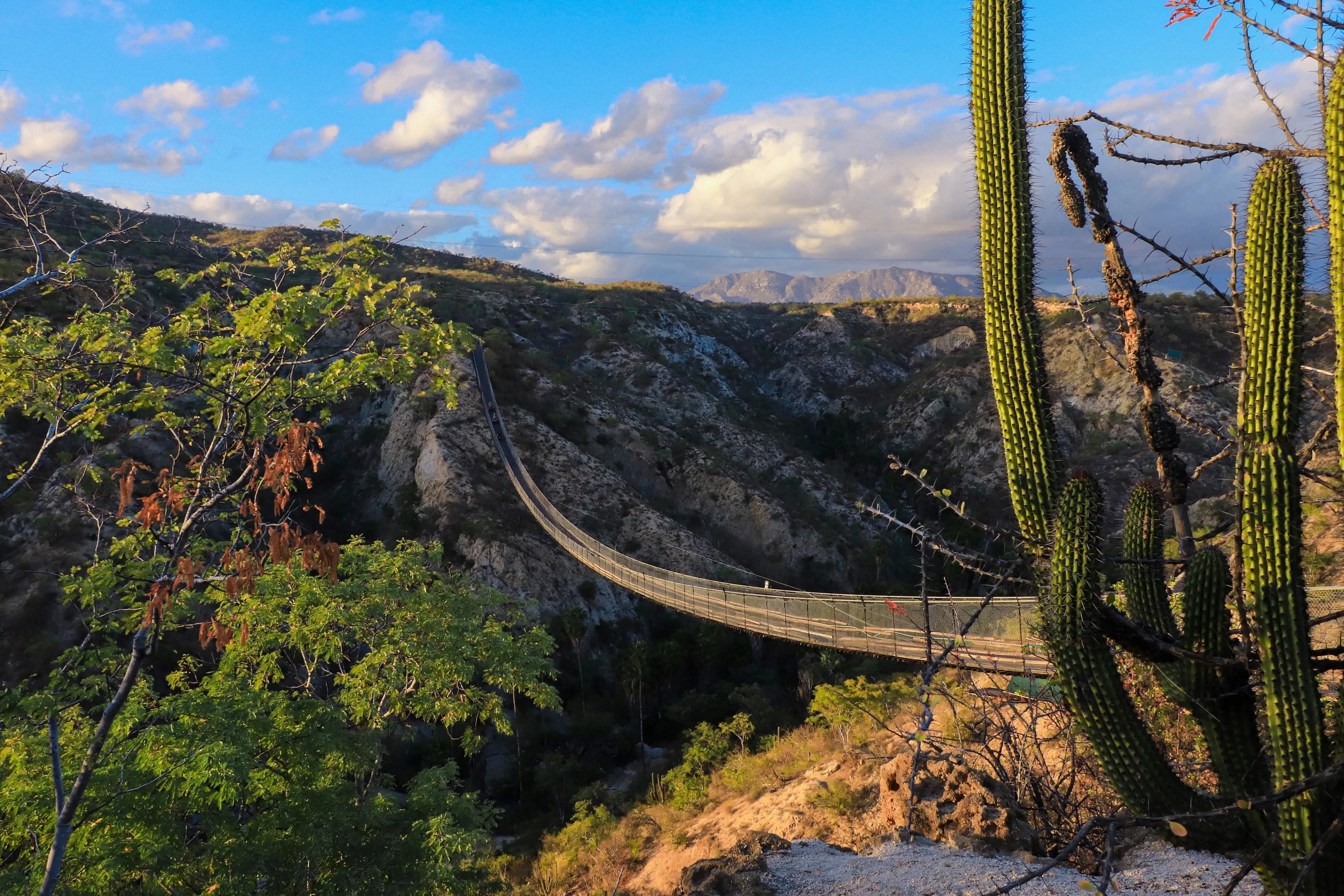 A suspension bridge spanning a full canyon gap, engineered for pedestrian, ATV, and UTV crossings.