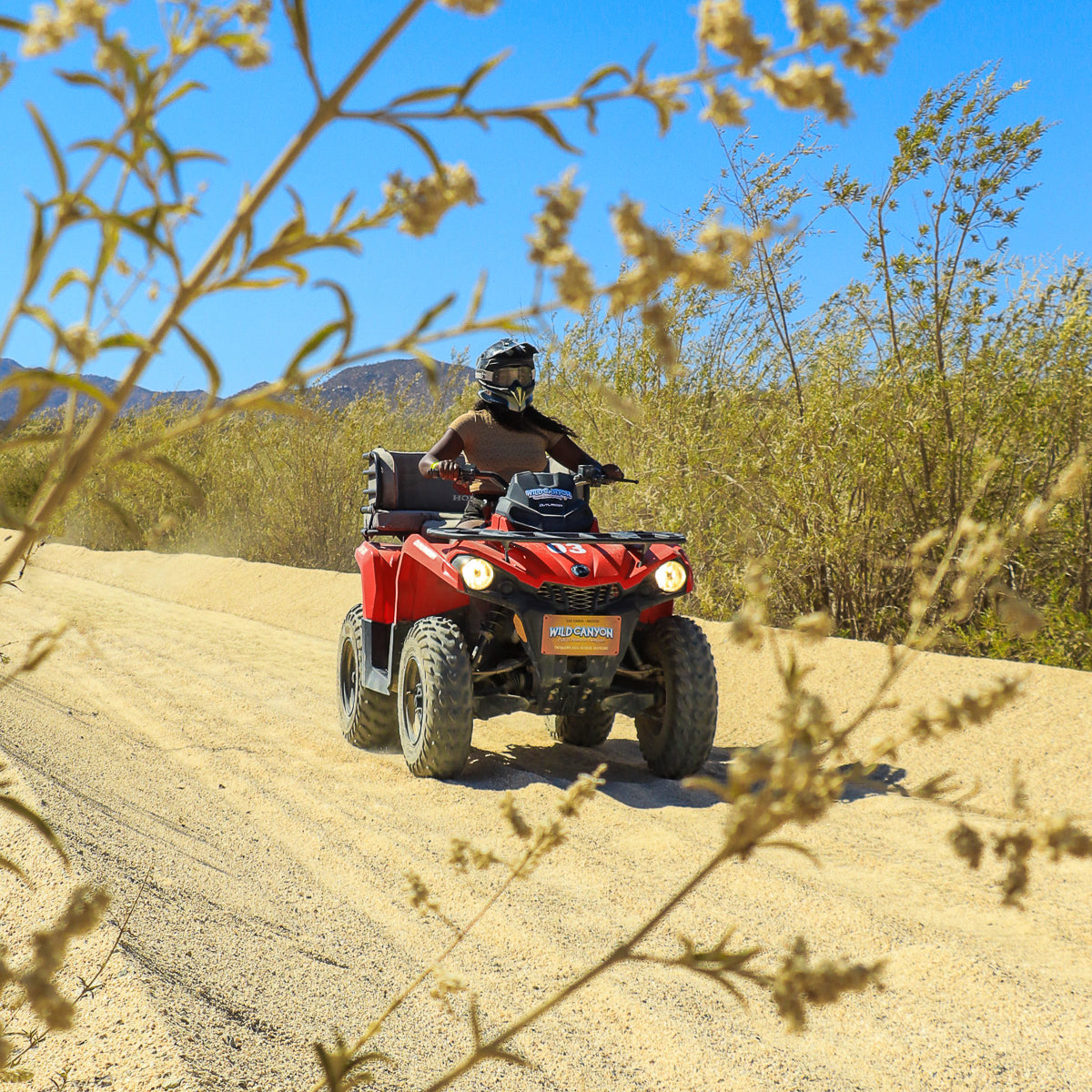 ATV Tour and the desert