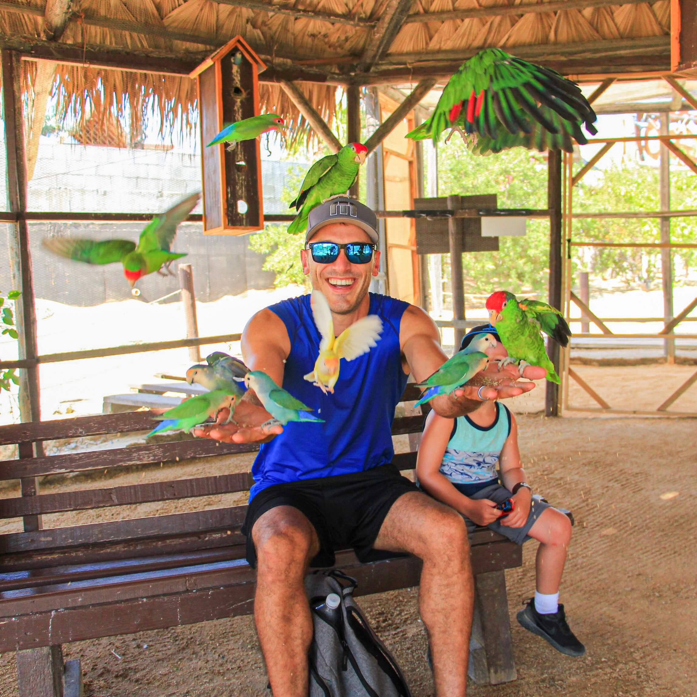 Man with birds - Animal Sanctuary