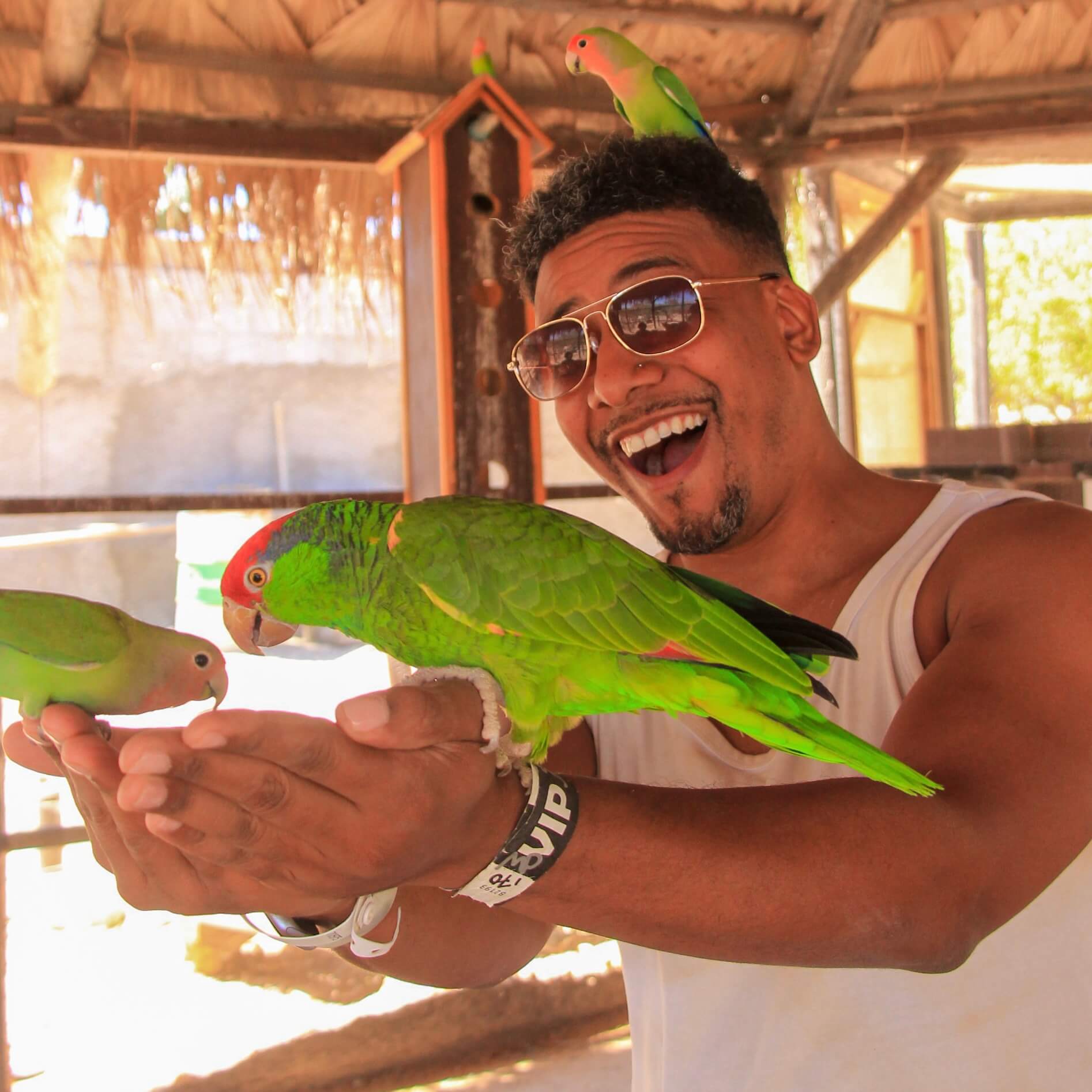 Man with birds - Animal Sanctuary