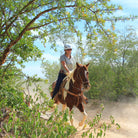 woman on Horseback Ride