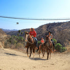 Group on Horses - Ultimate Pass