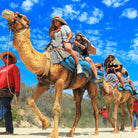 Family riding camels - Camel Ride Cabo