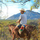 Man on horse - Wild Canyon Park Pas