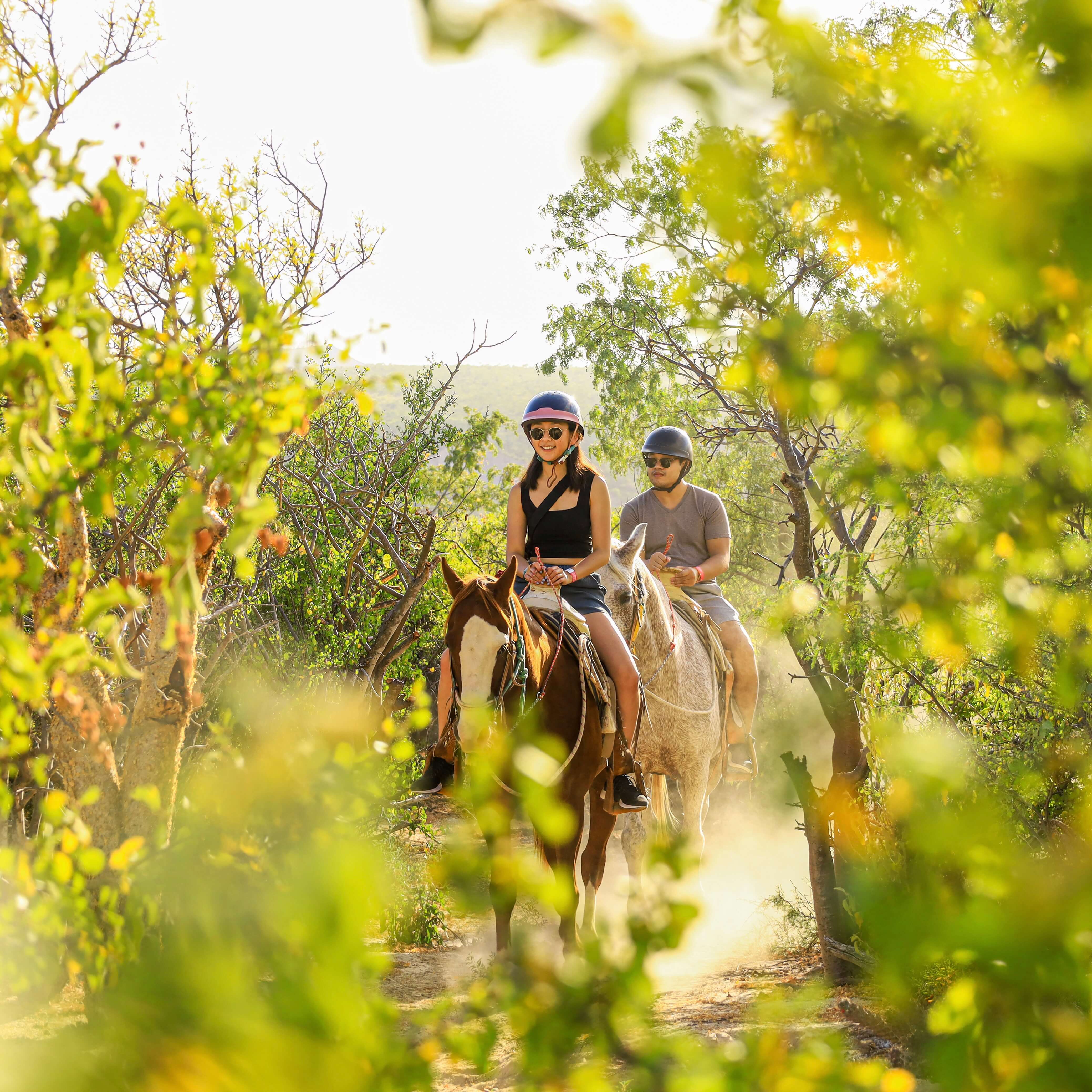 Couple on Horseback Ride