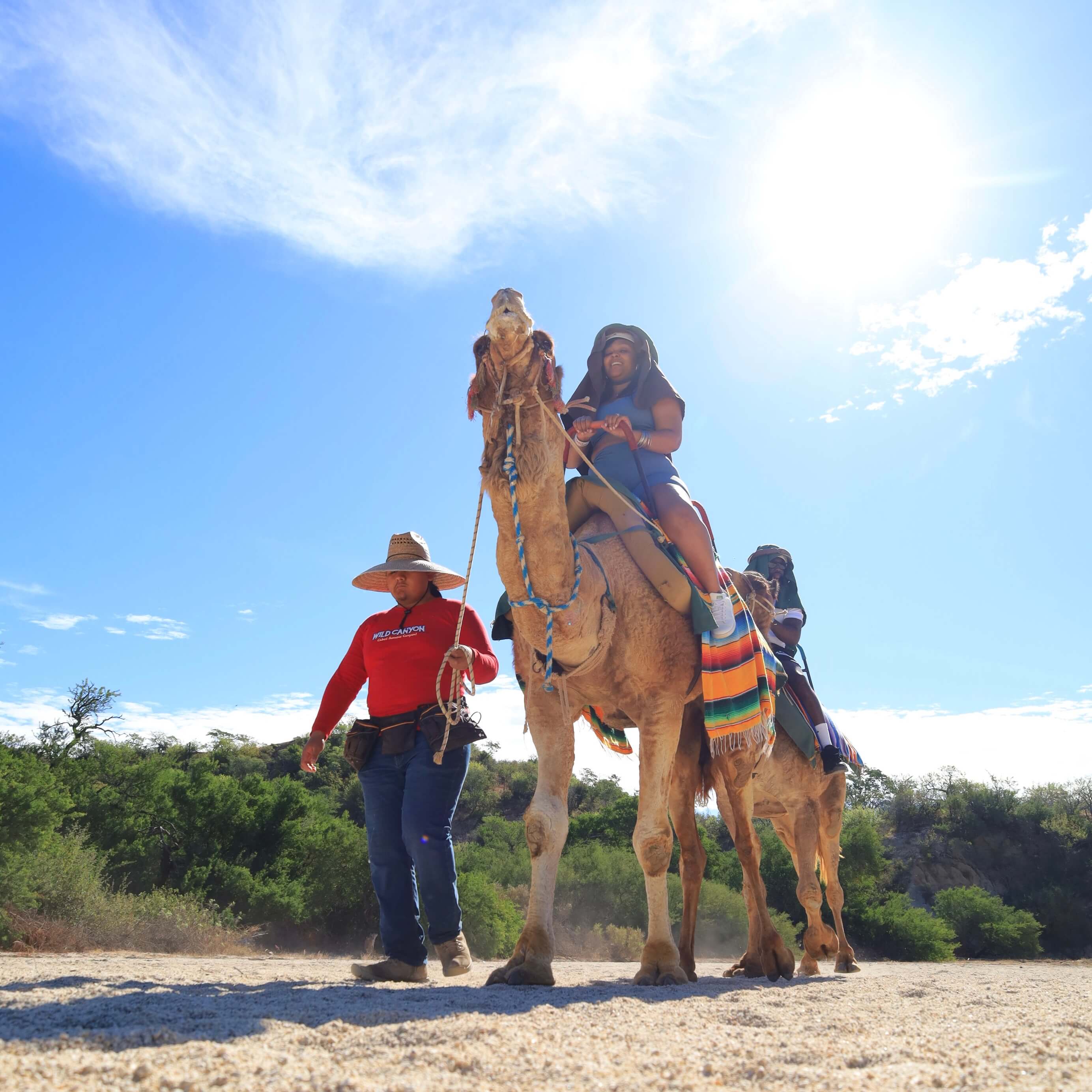 Family riding camels - Camel Ride Cabo