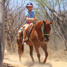 Boy on Horseback Ride