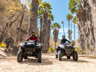 Guided ATV ride through towering desert palms at Wild Canyon Adventures in Los Cabos