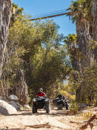 Two ATVs on a forest trail beneath the Wild Canyon suspension bridge in Los Cabos
