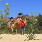 Family riding camels - Camel Ride Cabo