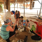 Family feeding guinea pigs - Animal Sanctuary