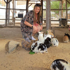 Man feeding rabbit - Animal Sanctuary