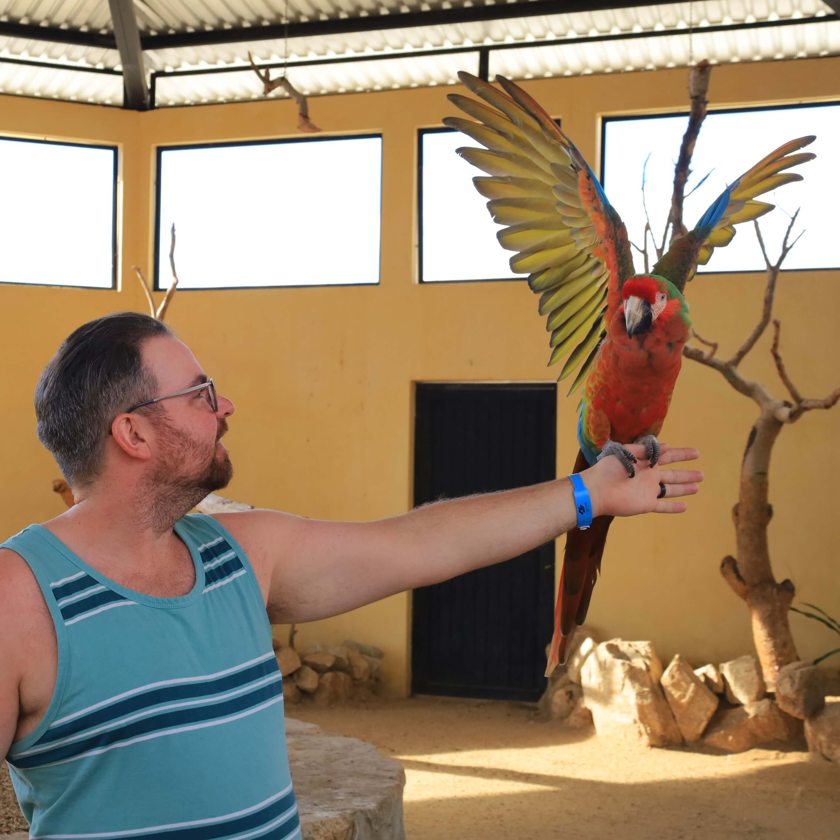 Man with red parrot - Animal Sanctuary