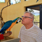 Parrot kissing man - Animal Sanctuary