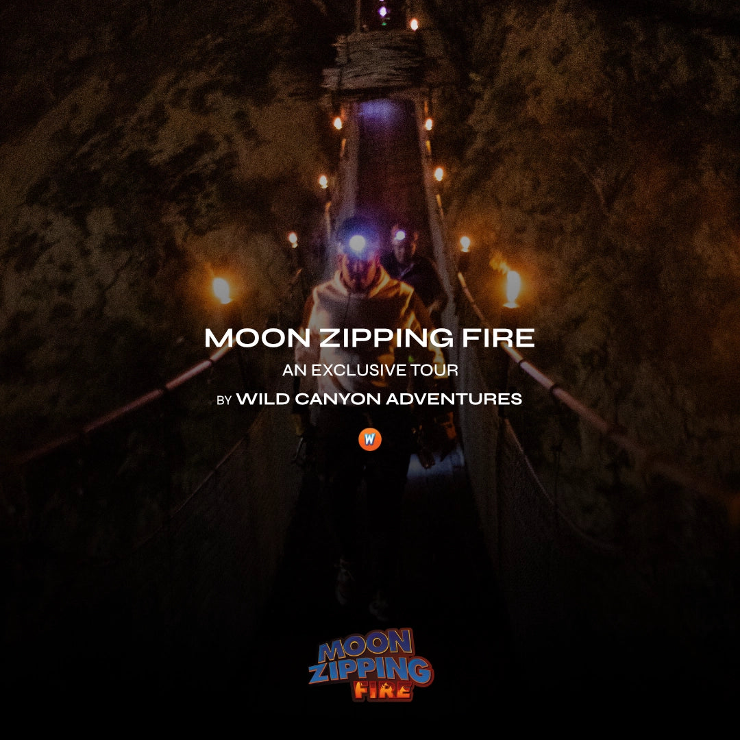 Moon Zipping Fire Night Tour in Cabo
