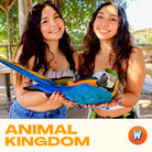 Animal Sanctuary Tour Promo Banner