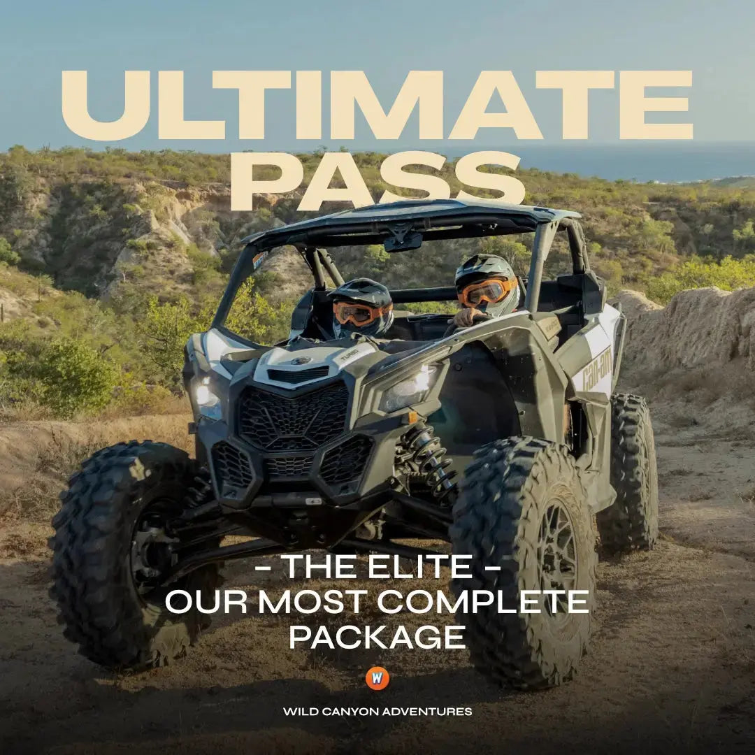 Wild Canyon Ultimate Pass cover with a Can-Am side-by-side UTV on a Los Cabos desert trail, the all-inclusive package