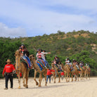 Family riding camels - Camel Ride Cabo