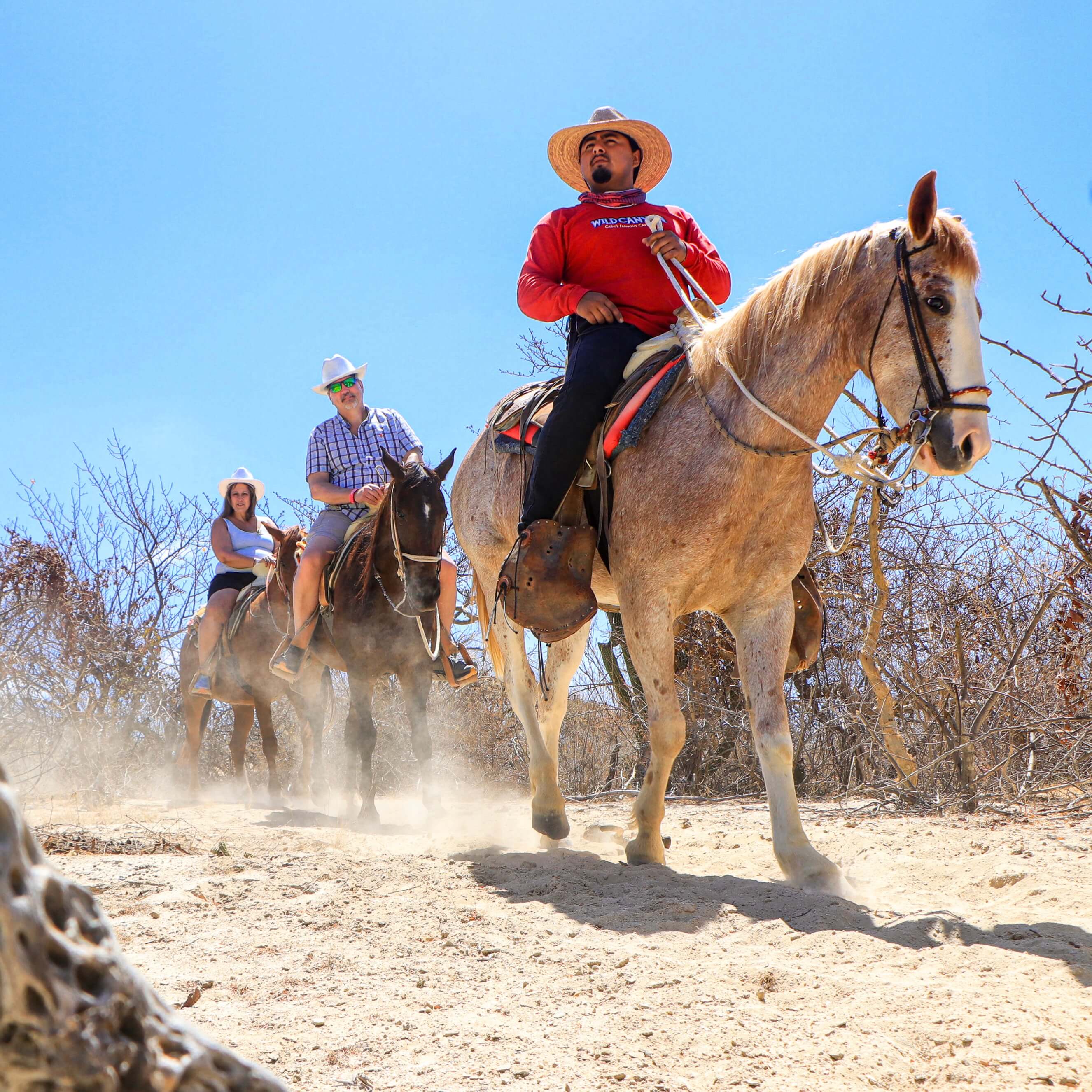 Group on Horseback Ride