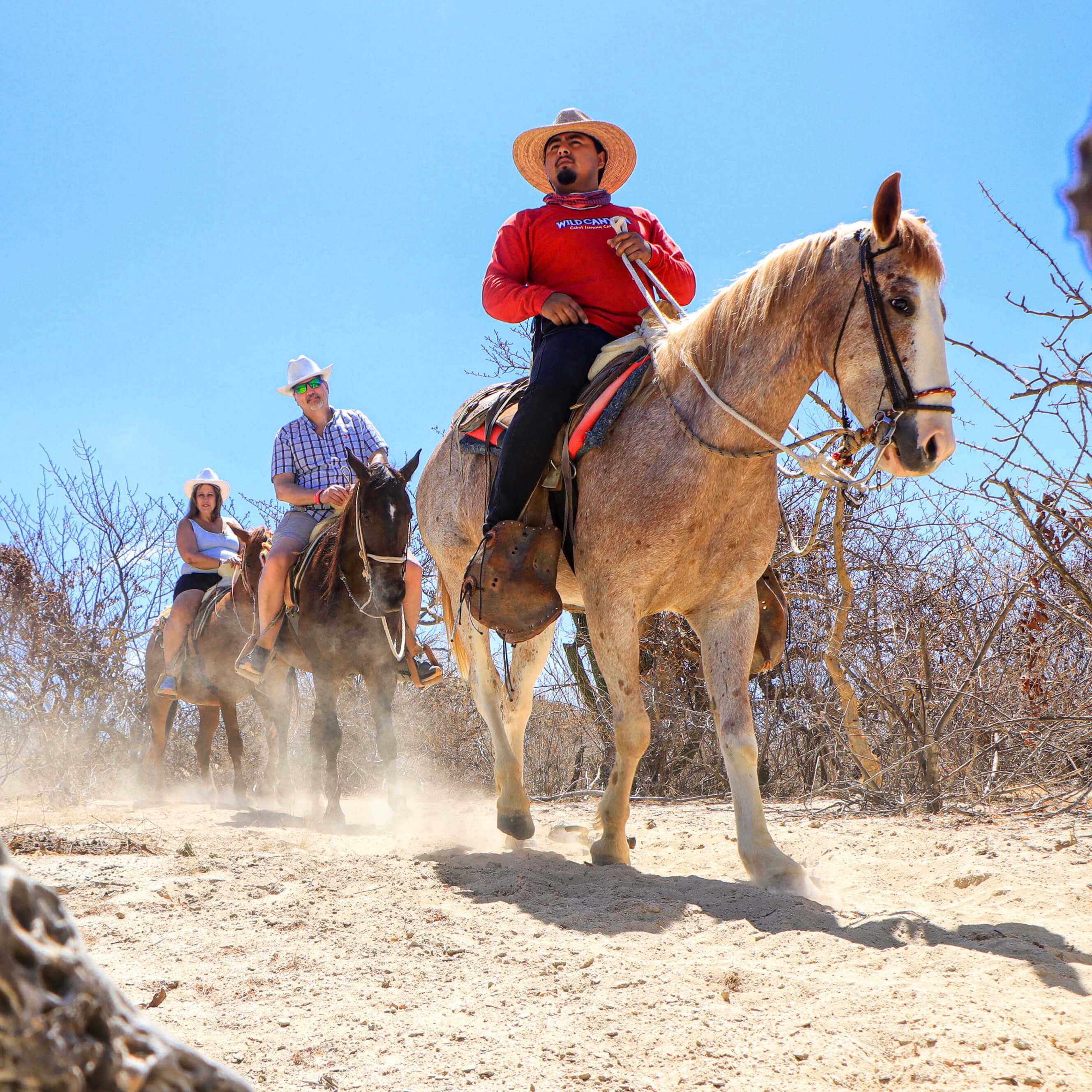 Group on Horse ride - Ultimate Pass