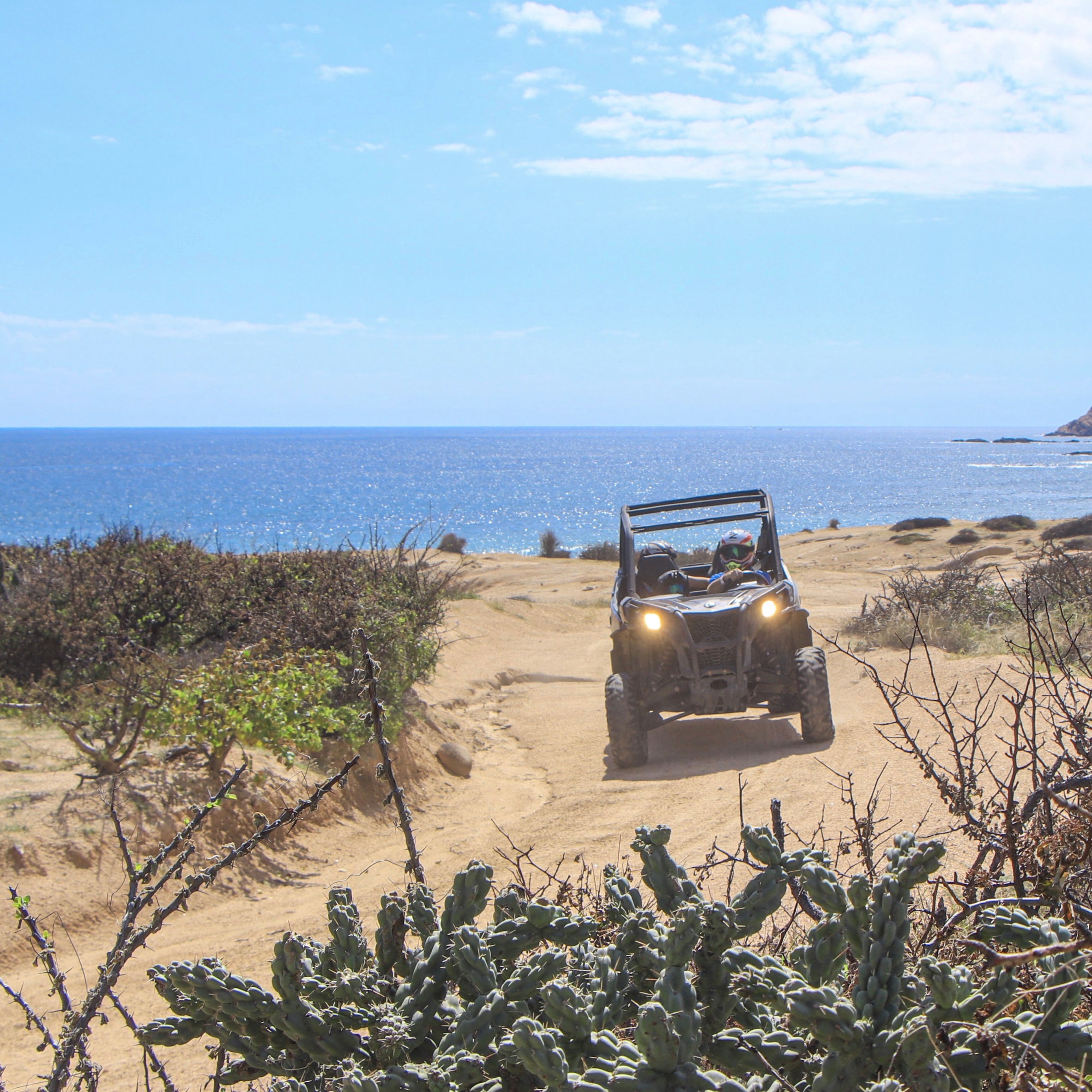 Utvs on the beach - Wild Canyon Park Pas