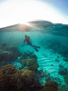 Snorkeler gliding over a coral reef in clear turquoise water on a Cabo Reefs expedition from Cabo San Lucas