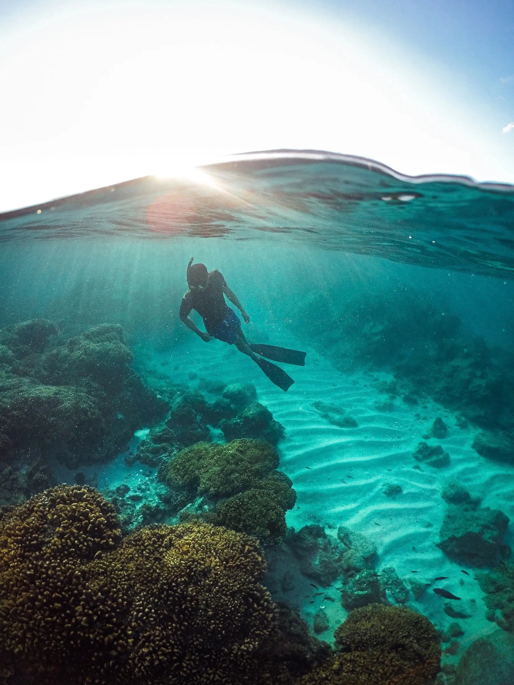 Snorkeler gliding over a coral reef in clear turquoise water on a Cabo Reefs expedition from Cabo San Lucas