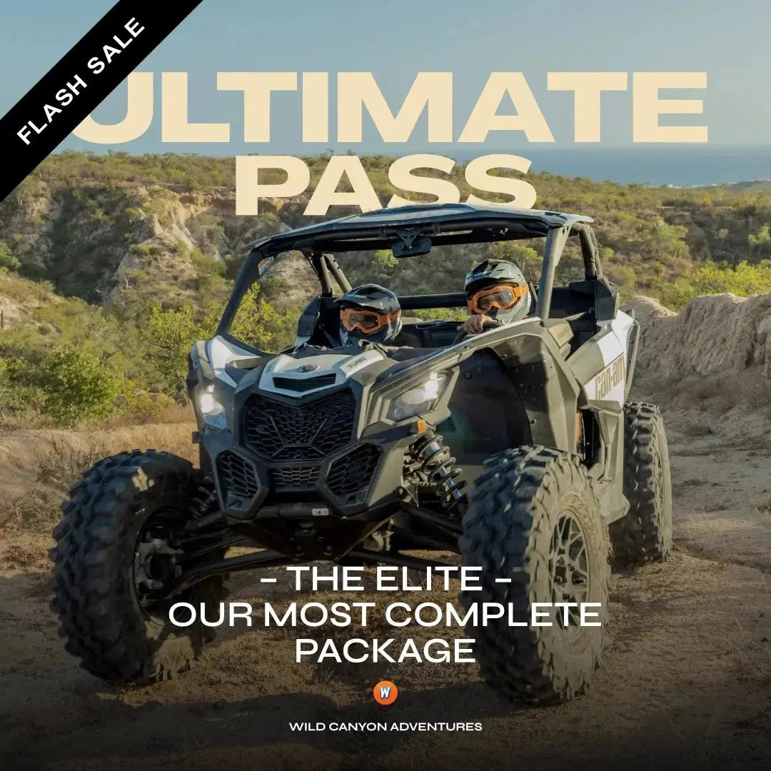 Wild Canyon Ultimate Pass cover with a Can-Am side-by-side UTV on a Los Cabos desert trail, the all-inclusive package, with a Flash Sale badge